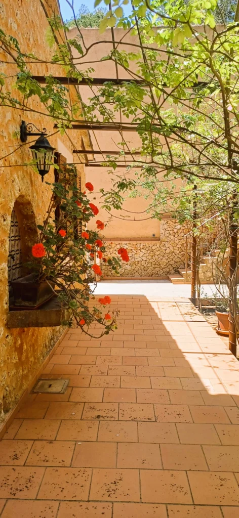 Detalle editorial Mallorca